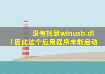 没有找到winusb.dll 因此这个应用程序未能启动